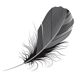 dark feather