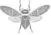 gray stylized bee